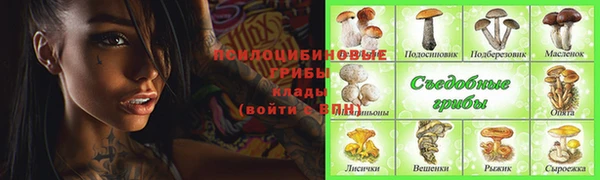 mdpv Арсеньев