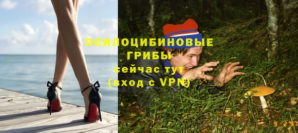 твердый Армянск