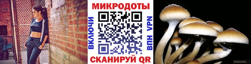 Галлюциногенные грибы прущие грибы Кимовск